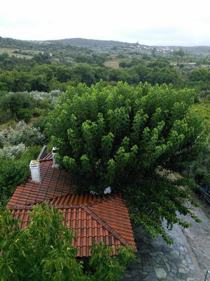 Eleni'S Village Relaxation Home Đảo Đảo Edipsos Ngoại thất bức ảnh
